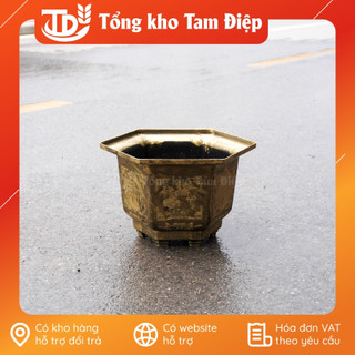 COMBO 10 Chậu nhựa trồng cây size trung các loại
