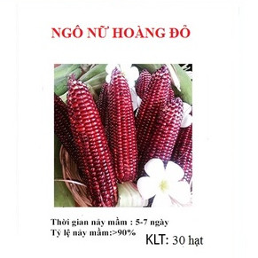 Hạt giống ngô Nữ Hoàng đỏ -1 gói 5gram