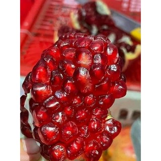 Cây giống lựu đỏ Pêru Ấn Độ hạt mềm
