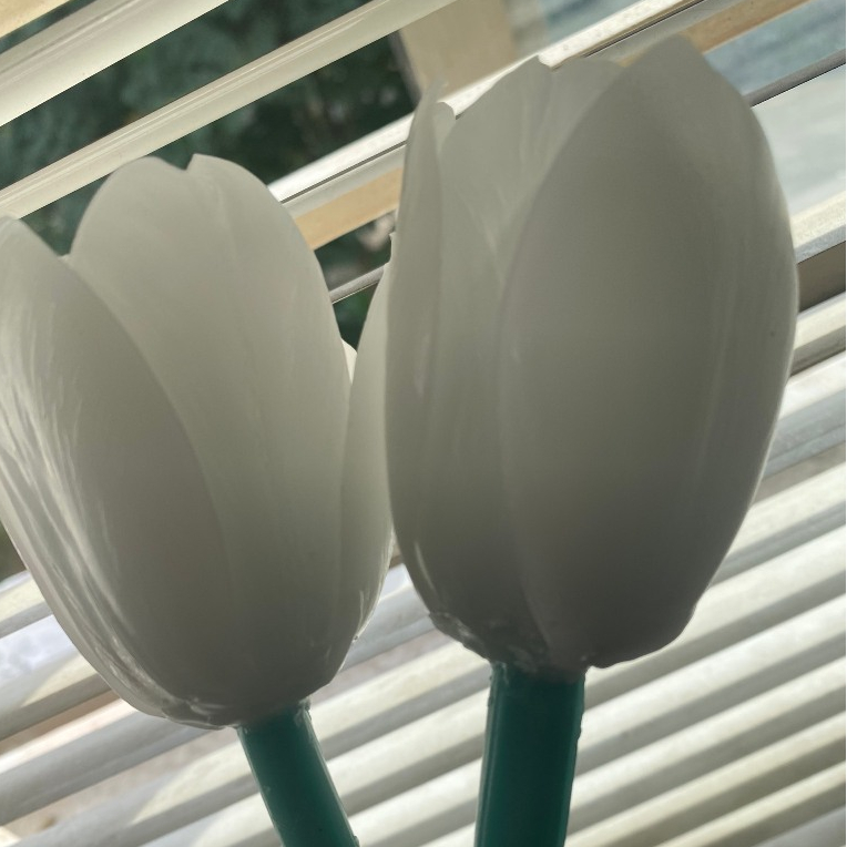 Nến thơm, hoa nến thơm, nến thơm tạo hình hoa tulip trắng