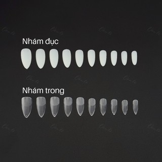 Móng úp nhám tròn nhọn hsm đủ size