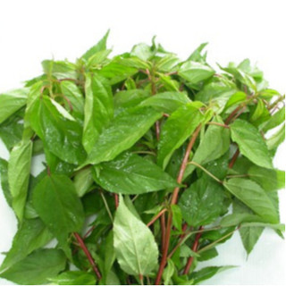 Hạt Giống Rau Đay Đỏ (gói 10g)