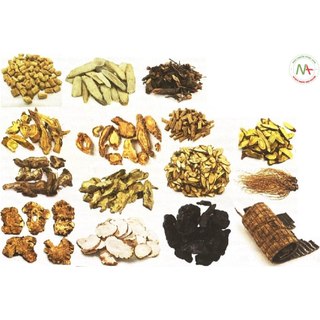 Độc Hoạt Tang Ký Sinh thang
