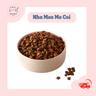 Hạt Catsrang Kitten túi 2Kg