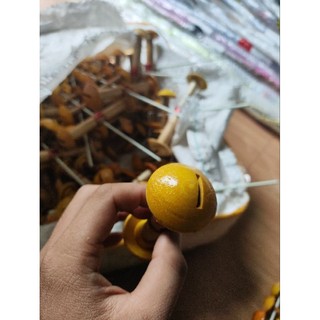 Sáo đơn d10 vành thủy nguyên âm khét