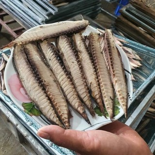 Khay 500g cá nục tách xương