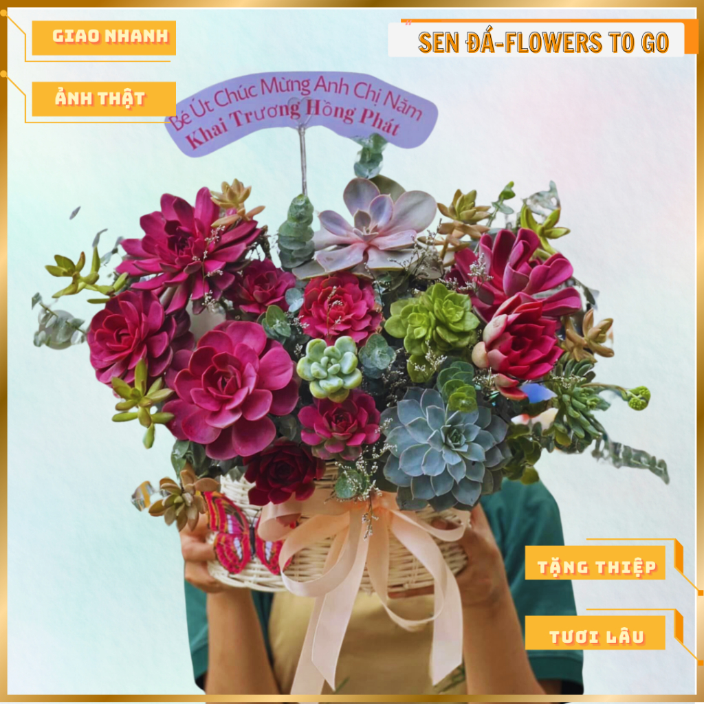 Giỏ hoa tươi quà tặng 100% hoa sen đá nguyên rễ hỏa tốc tp hcm flowers to go