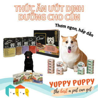 Thức ăn Pate ướt Bữa ăn hoàn chỉnh dinh dưỡng cho chó con 7 trưởng thành Pate NutriPlan GetDog Cesar