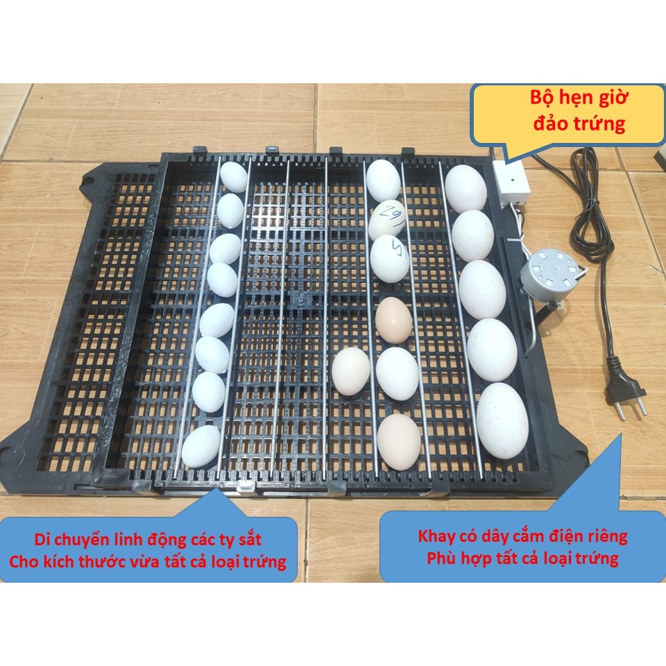 Khay đảo trứng kèm hẹn giờ, 2h đảo trứng 1 lần, lần đảo 15 giây