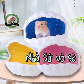 Nhà sứ vỏ sò cho hamster. Nhà ngủ cho hamster/Rat/Sóc/bear tạng to