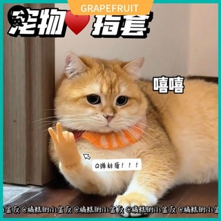  Bàn Tay Mini ,Đồ Chơi Cho Mèo, Mô Hình Bàn Tay Đeo Ngón Tay Chất Liệu Cao Su Đeo Ngón Tay - Muchinshop