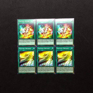 [Bài in Yu-gi-oh] Set bài in (05) - Traptrix