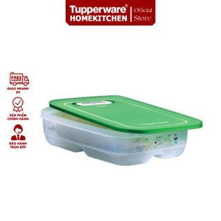 Hộp trữ mát có nút hô hấp Ventsmart 1.8L thấp - Tupperware