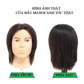 Đầu canh tóc thật học nghề barber, đầu ken nam uốn nhuộm cắt tạo kiểu - hsdc542