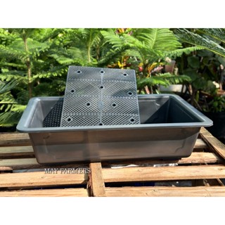 [ MAY ] COMBO KHAY Nhựa Trồng Rau Sạch - Rau Mầm -  KT 63cm x 41cm x 17cm