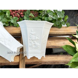 Chậu nhựa lục giác - vuông tứ quý trắng , trồng cây cảnh - hoa cảnh...