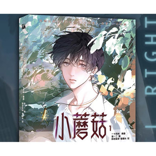 Cây nấm nhỏ manhua tổng hợp