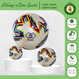 Bóng đá số 5 may DB da PVC hoa EURO 2020 Bach Hien tiêu chuẩn thi đấu tặng kèm kim lưới - Hoàng Lâm Sports