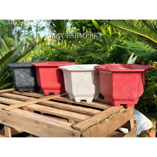 [ MAY ] Chậu Nhựa Lục Giác Mai Có Chân - Trồng Mai Bonsai , Cây Cảnh Mini...