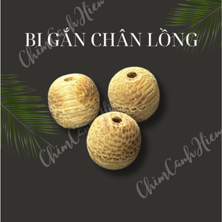 Viên bi tre gắn chân lồng chim - viên tròn chân lồng chim