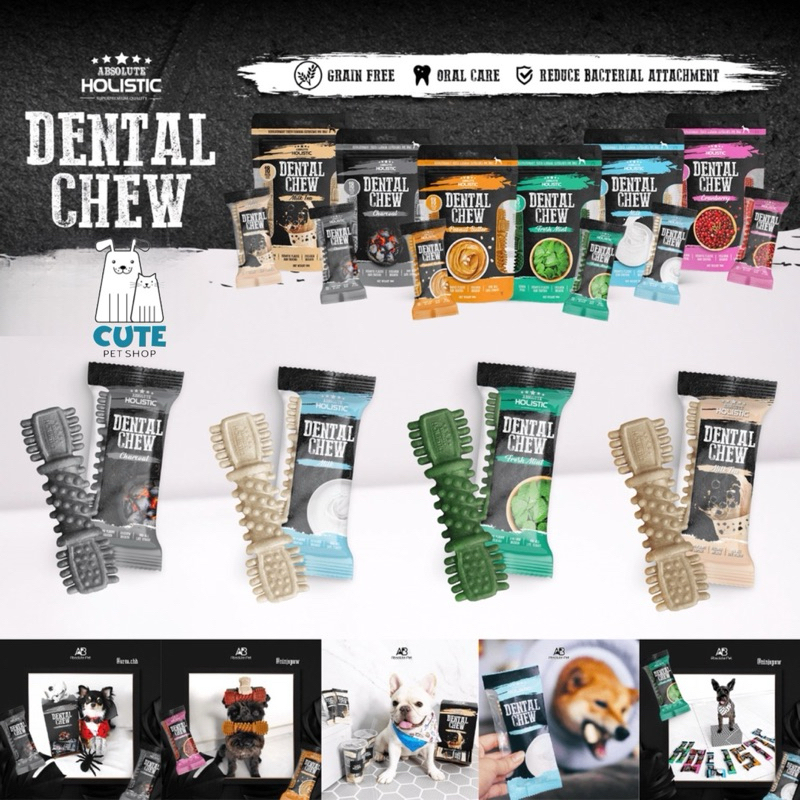 1 QUE ABSOLUTE DENTAL CHEW CAO CẤP XƯƠNG GẶM SẠCH RĂNG CHO CHÓ