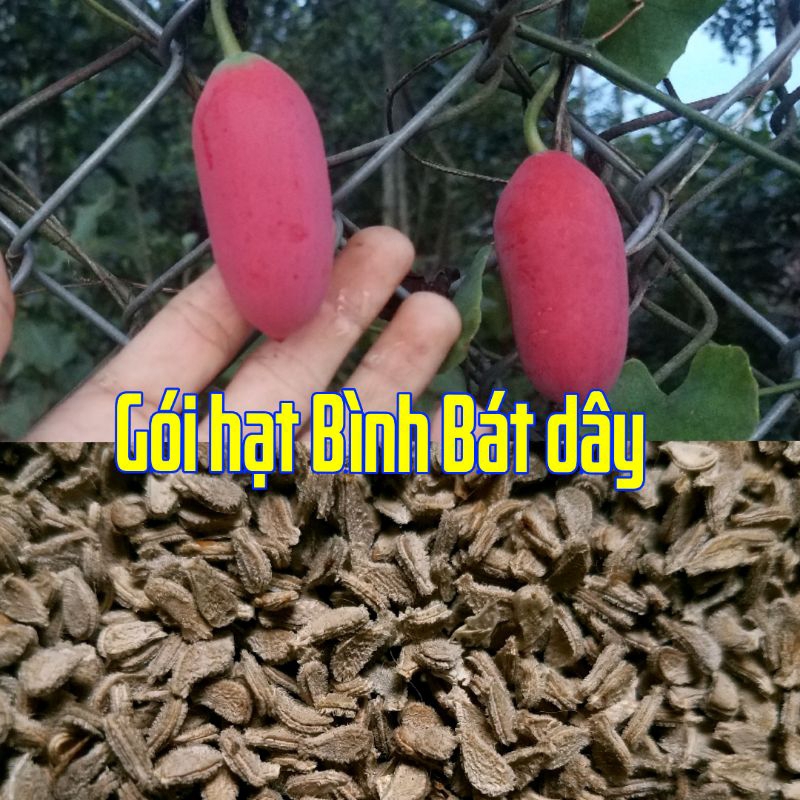 Túi 100 Hạt Bình Bát Dây