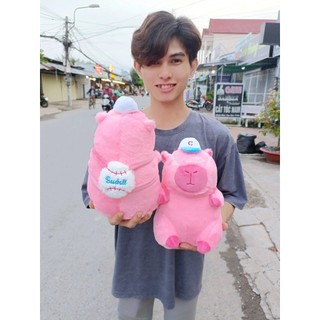 Gấu Bông Chuột Capybara Mini