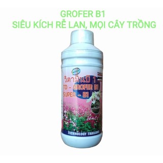 Grofer B1 chai 1 lít Phân bón lá kích rễ mạnh, lưu dẫn phân bón