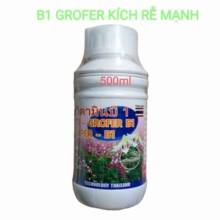 Grofer B1 - 500ml Phân bón lá kích rễ rất hiệu quả cho Lan và cây kiểng, lưu dẫn phân
