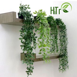 Cây Giả Kèm Chậu Để Bàn, Chậu Dây Leo Decor, Cây Giả, Cây Decor Trang Trí Nhà Cửa HiTree