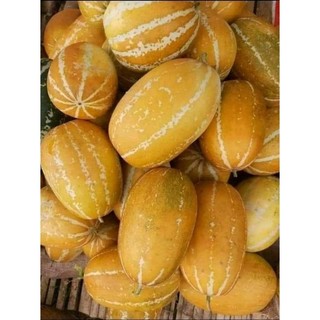 Hạt giống dưa Thái thơm (dưa bở quả dài)