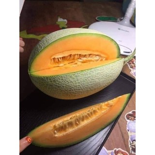 Hạt giống dưa lưới hami ( vỏ xanh ,vỏ vàng)
