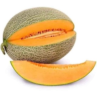 Hạt giống dưa lưới hami ( vỏ xanh ,vỏ vàng)