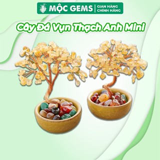 Cây Đá Vụn Thạch Anh Mini Để Bàn Mộc Gems Giúp Thu Hút Tài Lộc & Cải Thiện Phong Thủy