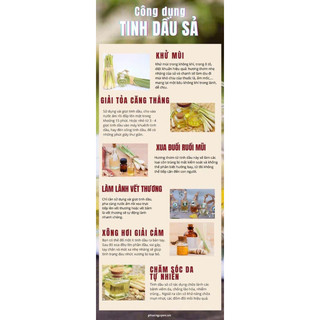 100-500ml tinh dầu sả java nguyên chất ( tinh dầu sả Mường Tè)