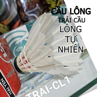 (Có hoả tốc TPHCM) Trái cầu lông dành cho các bạn chơi Cầu lông
