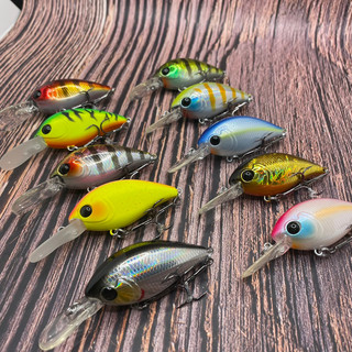 PL FishingMồi Câu PL87 13g 59mm Floating 1,5-2,5m