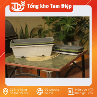 Máng thủy canh kèm đĩa- Khay nhựa trồng rau thông minh kèm đĩa lót 4 màu