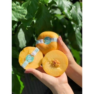 Cây giống đào vàng dẹt ( đào donuts)