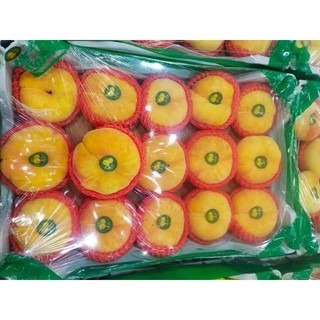 Cây giống đào vàng dẹt ( đào donuts)