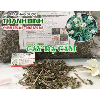 Cây Dạ Cẩm 500gr - Hàng Công Ty - Thảo Dược Uy Tín