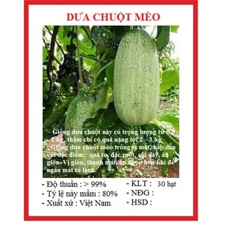 Hạt giống dưa chuột mèo dể trồng-gói 10 hạt
