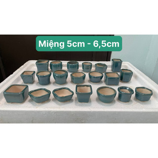 Compo 20 chậu mini men xanh gốm bát tràng sen đá bosnsai