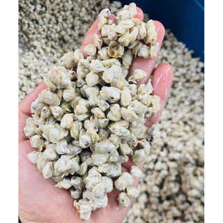 Ruột hến sông lam làm sạch 500gr💥