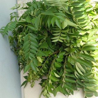 1kg Lá Cà Ri tươi