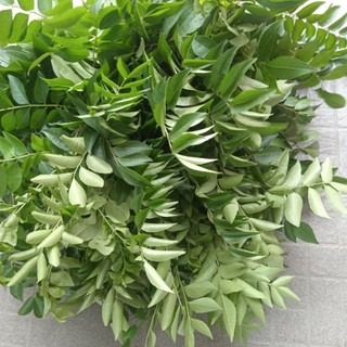 1kg Lá Cà Ri tươi