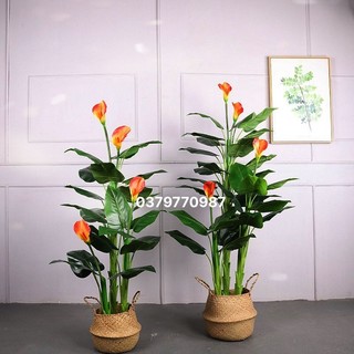 Cây hoa thiên điểu giả, cây hoa rum, cây hồng môn giả trang trí. Cây giả decor.(Không chậu)
