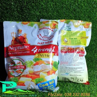 Hạt nêm Neptune - Túi 2kg, Hạt nêm 4 in 1 Neptune