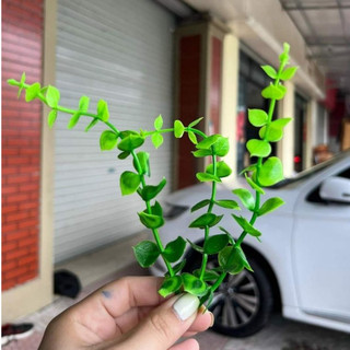Cỏ Tai Chuột, Lá Táo Non Dài 16cm, Cỏ điểm bó hoa, gói hoa xinh xắn - VN98 Flowers