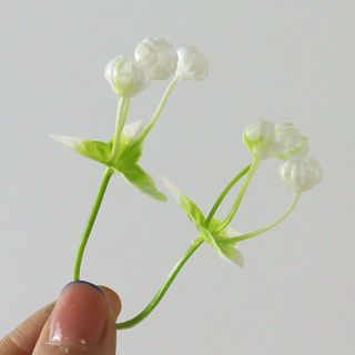 Cỏ Điểm Hoa Bi Cụp, Cỏ Điểm Trang Trí Hoa Xinh Xắn, Làm Quà Tặng Handmade - VN98 Flowers